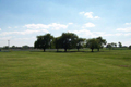 Magic Meadows Horse Farm, Frankfort, IL