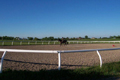 Magic Meadows Farm, Frankfort, IL