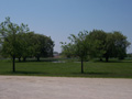 Magic Meadows Farm, Frankfort, IL