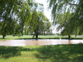 Magic Meadows Farm, Frankfort, IL