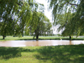 Magic Meadows Farm, Horse Boarding