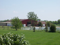 Magic Meadows Farm, Frankfort, IL