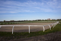 Magic Meadows Farm, Horse Boarding