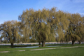 Magic Meadows Farm, Horse Boarding