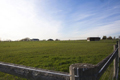 Magic Meadows Farm, Horse Boarding